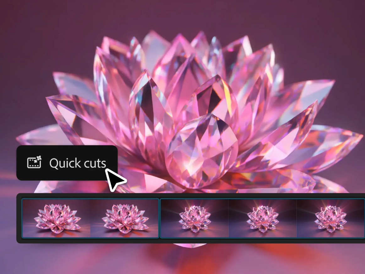 Adobe Firefly AI Video Editor Tools