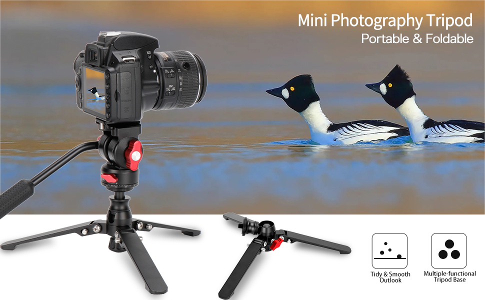 image for this item