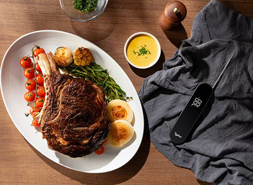 Typhur InstaProbe Core Meat Thermometer 
