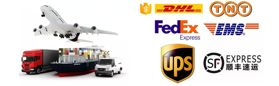 Collaborating with multiple transportation companies