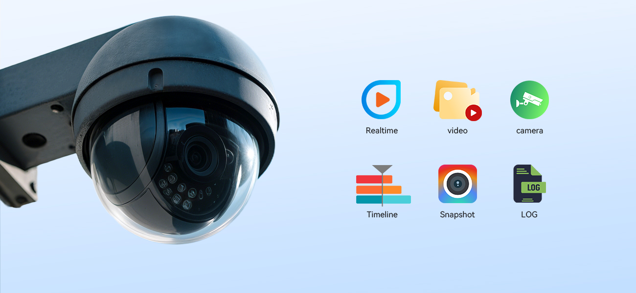 Surveillance Manager