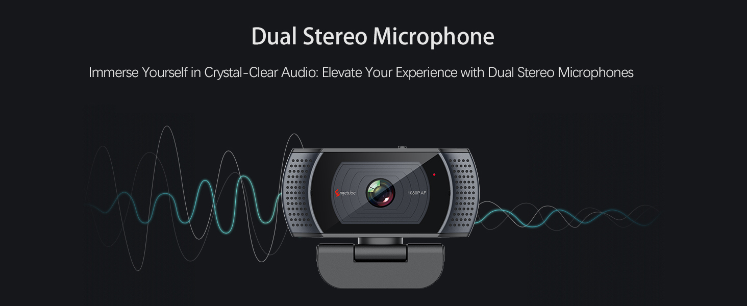 Dual Stereo Microphone