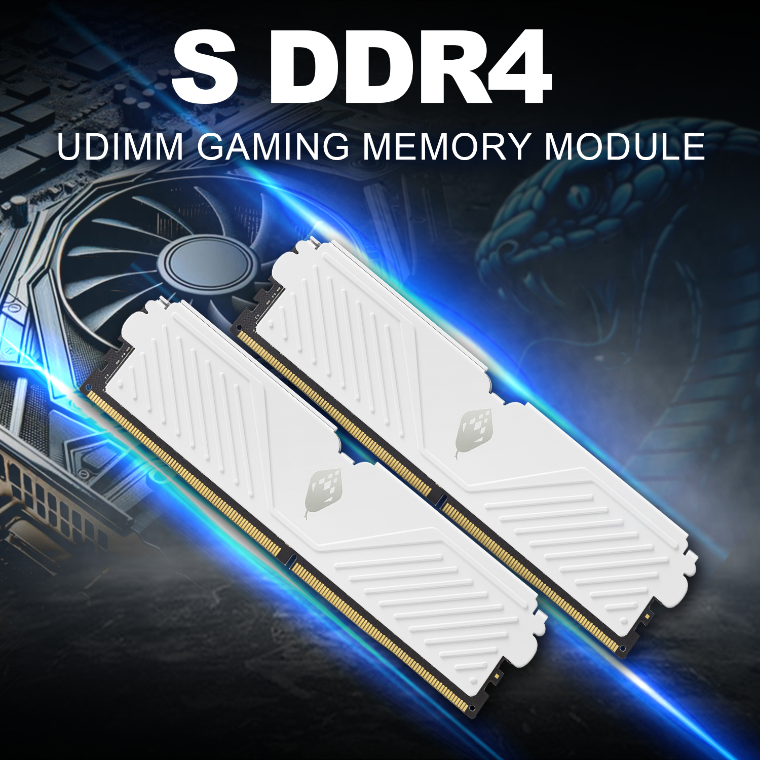 image for this item
