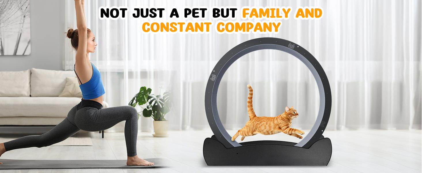 GTPLAYER Cat Wheels