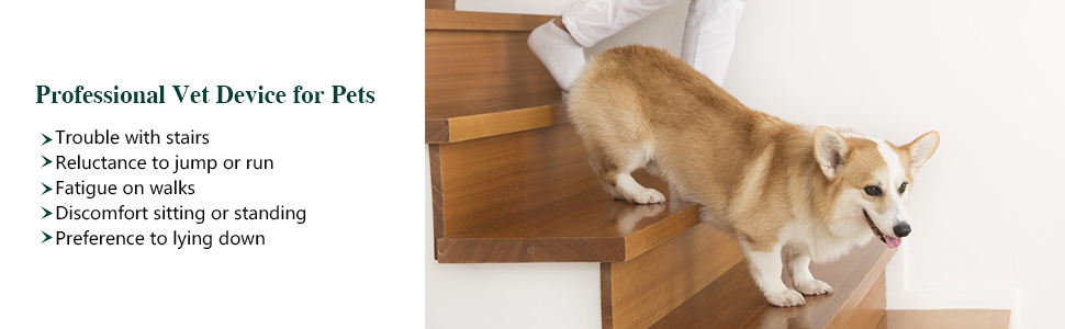 Professional Vet Device for Pets