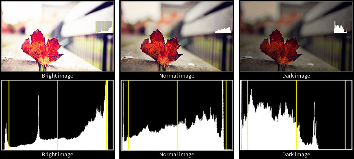 Brightness Histogram