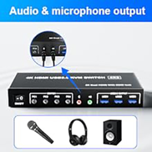 Supports Separate Audio and Microphone Output