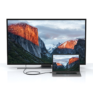 Type-C to Type-C Cable Support Video Output