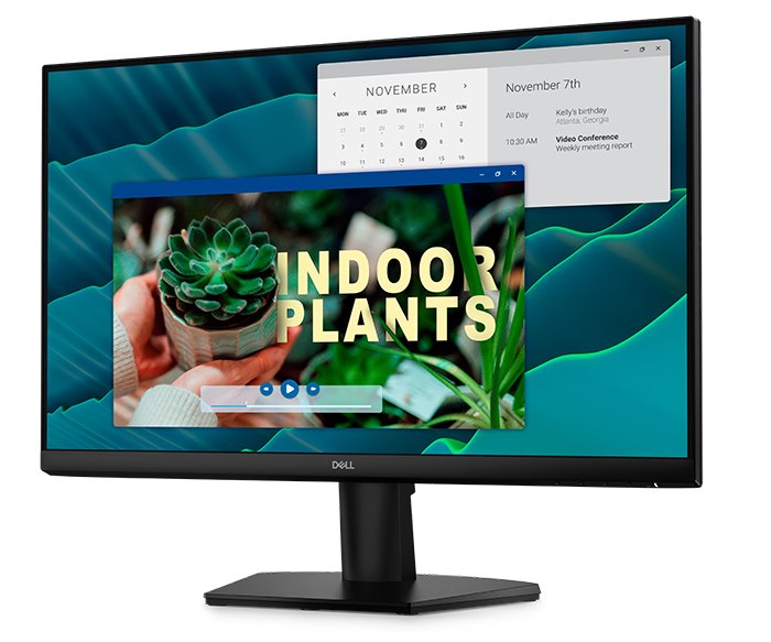 Dell SE2426H 24 Monitor 