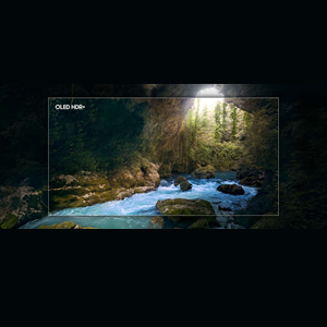 OLED HDR+
