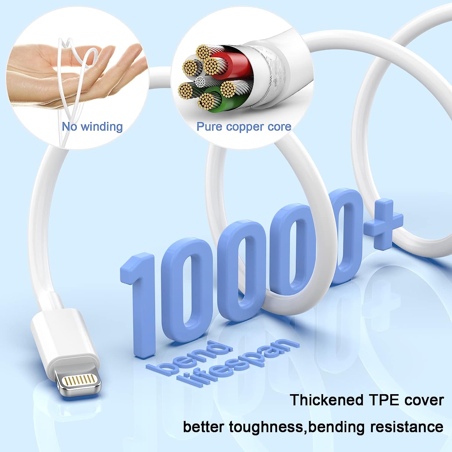 Fast Charger