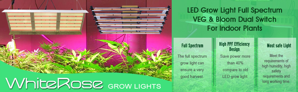 WhiteRose 2000W Led Grow Light Kit Full Spectrum For Indoor Plants Veg Flower 