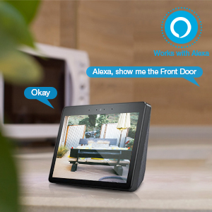 Works with Alexa
