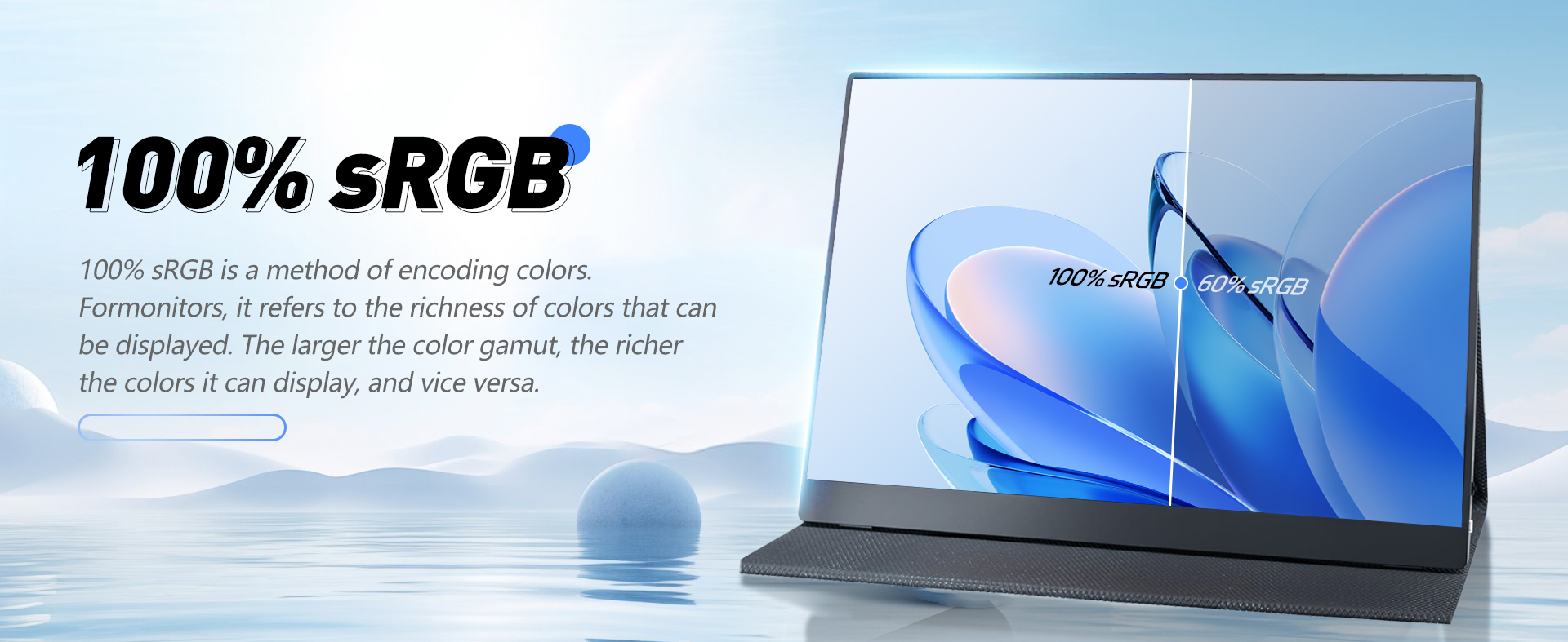 18.5" portable monitor
