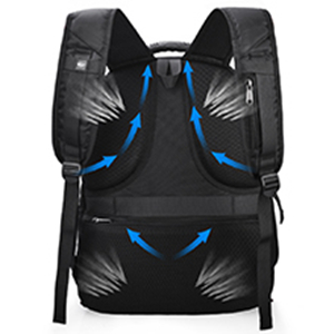 image for this item
