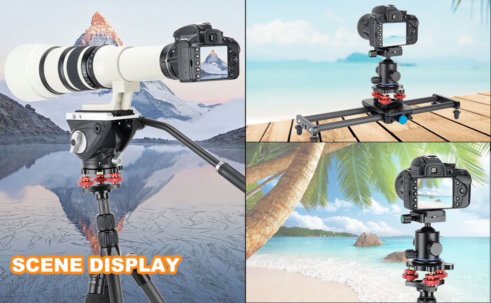 Tripod Head