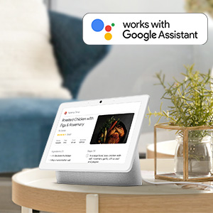 Supports Google Assistant