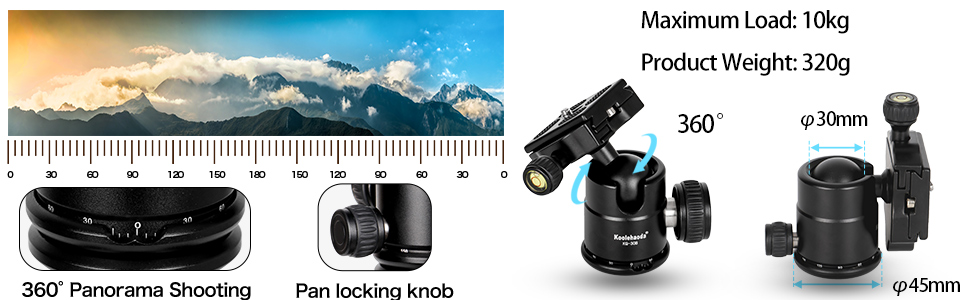 image for this item
