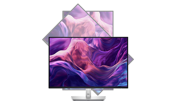 Dell P2425 Pro 24 Plus 16:10 Monitor