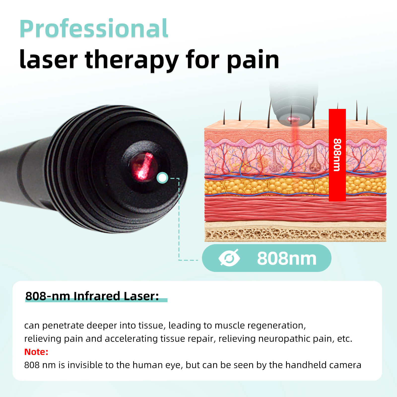 Product Description