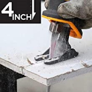 image for this item