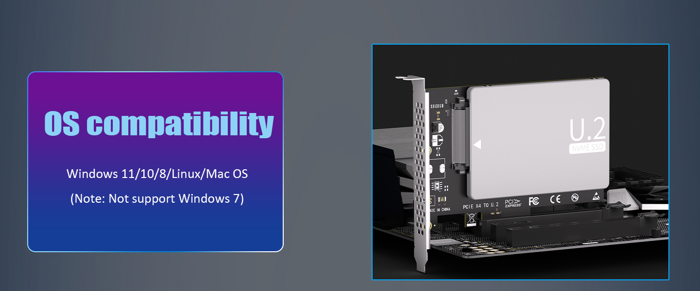 U.2 to PCIe 4.0 X4 Adapter