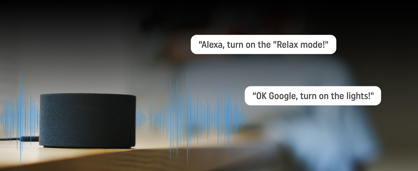 Shelly Plus 1 - Google Home & Alexa Compatibility