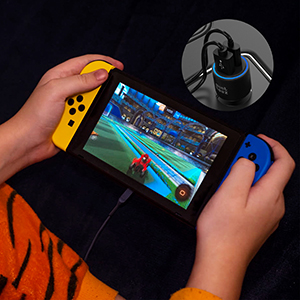 True Road trip Companion