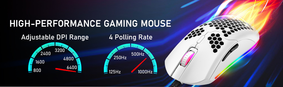 image for this item