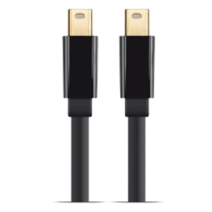 Mini DisplayPort 1.2a