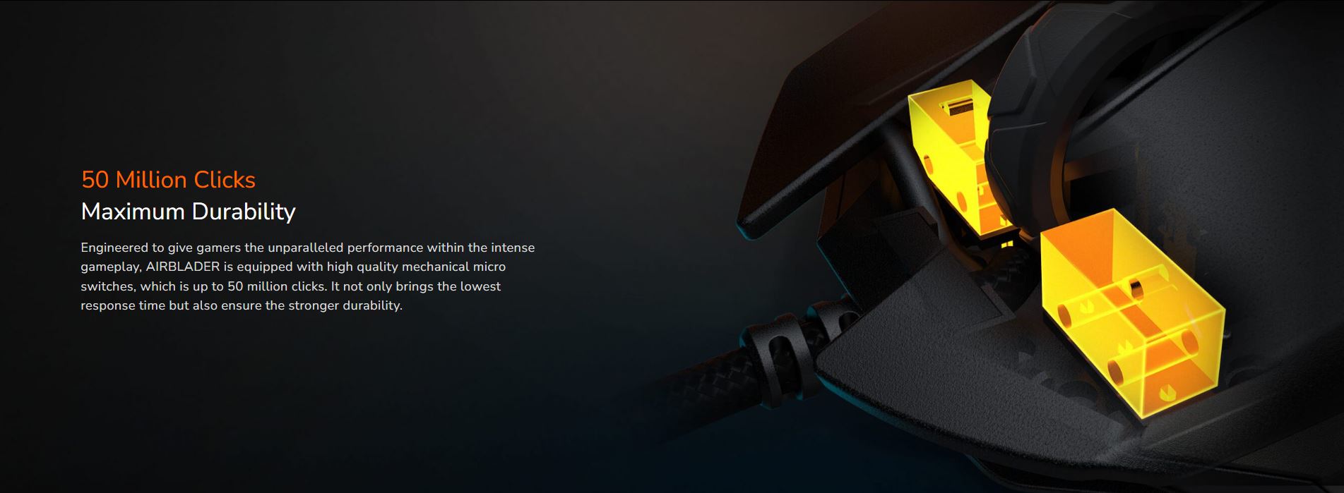 image for this item