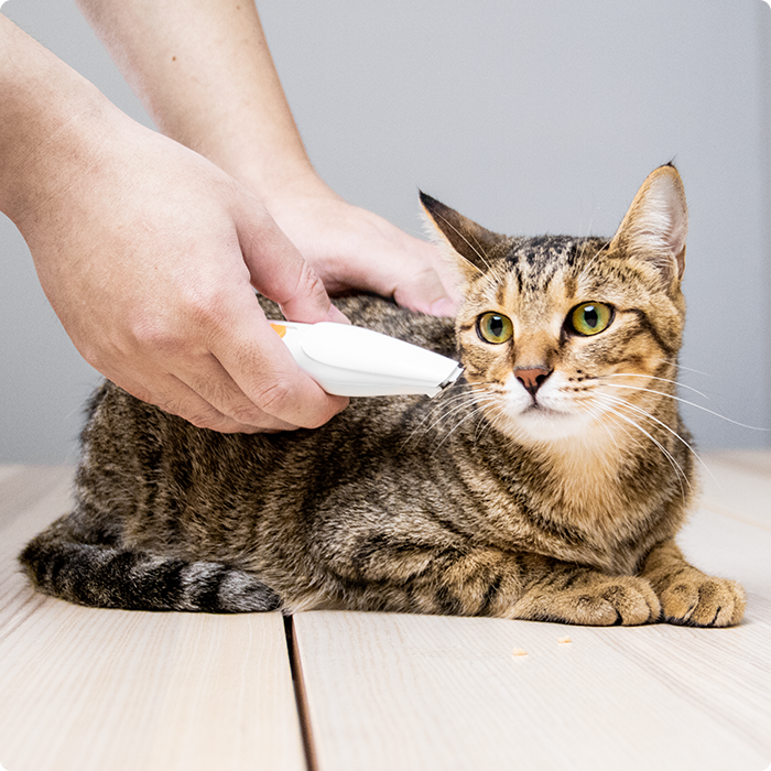 URBANER Pet Electric Trimmer/Clipper for Small Cats, Professional Groomer for Hair Around Paws, Eyes
