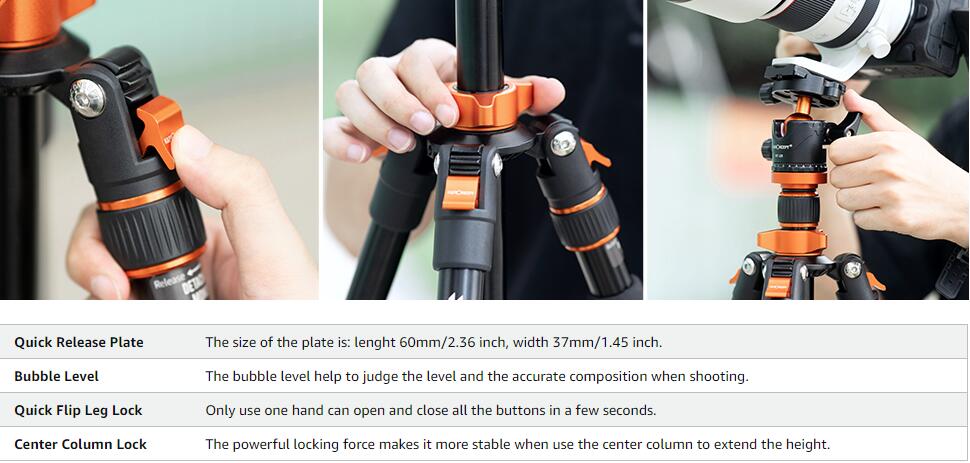 image for this item