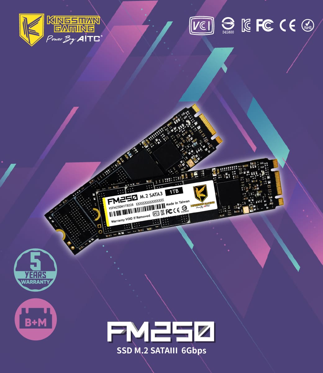 SATA3, SSD, FM250, M.2