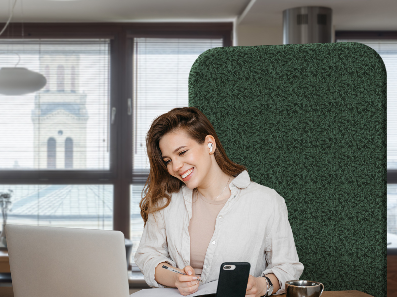 standing room divider  webcam background