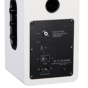 Sanyun SW208 Active Bluetooth 5.0 Bookshelf Speakers