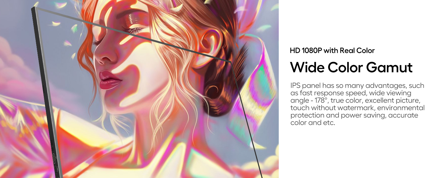 17.3+inch+portable+monitor matte 1080P portable monitor 17.3" 1080P portable monitor