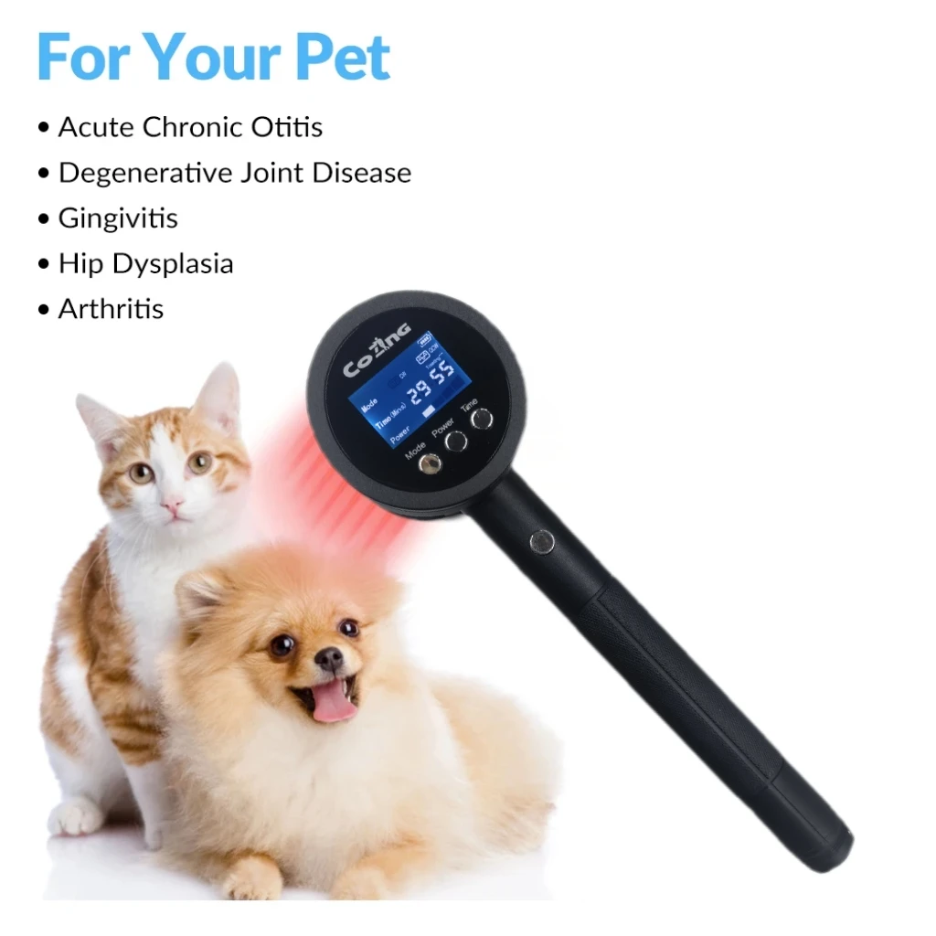 Relieve the pain of cats