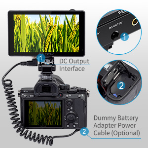 image for this item