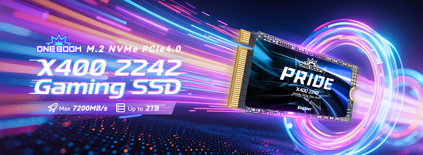 X400 2242 Gaming SSD