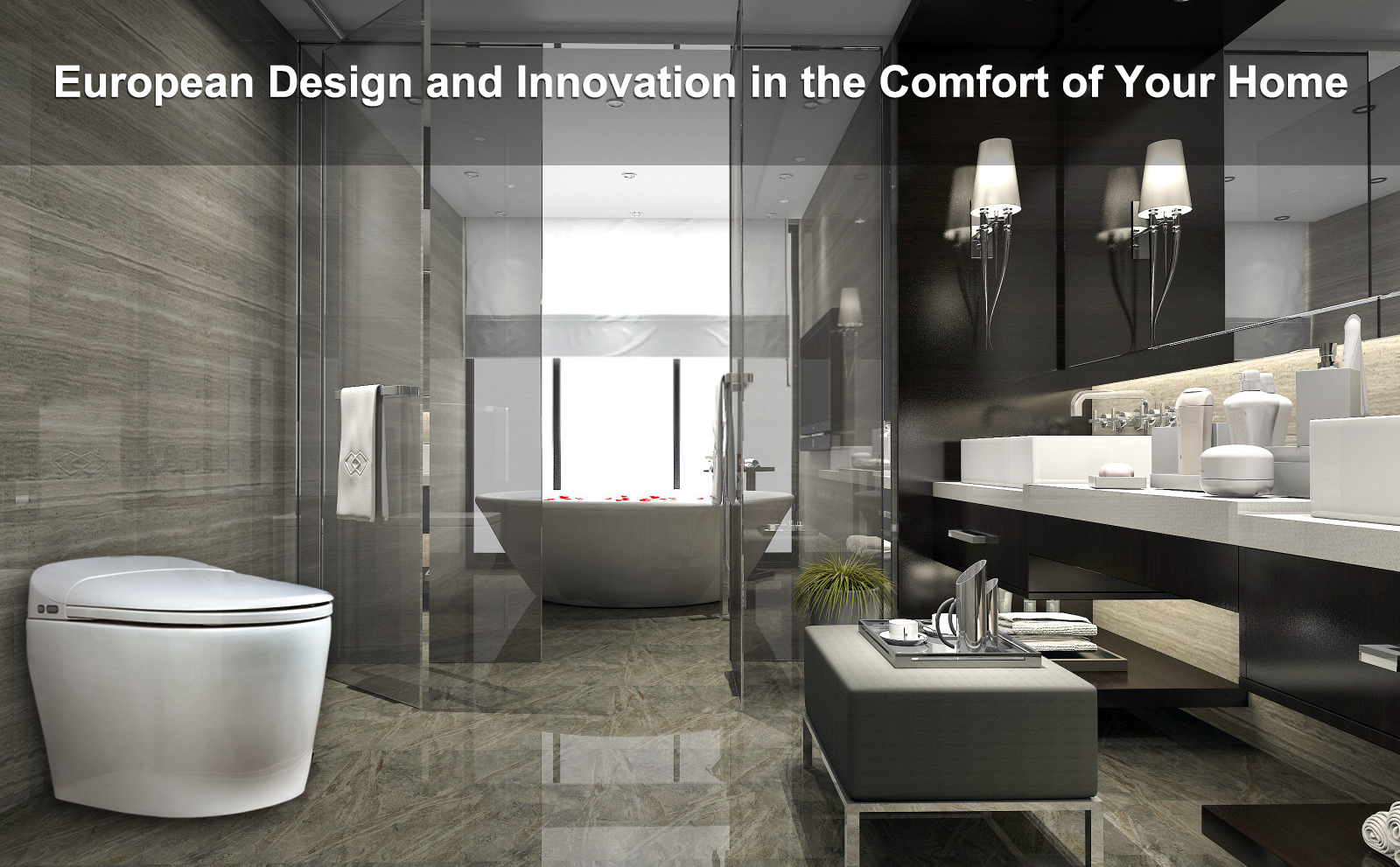 European design smart toilet