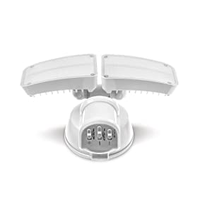 image for this item
