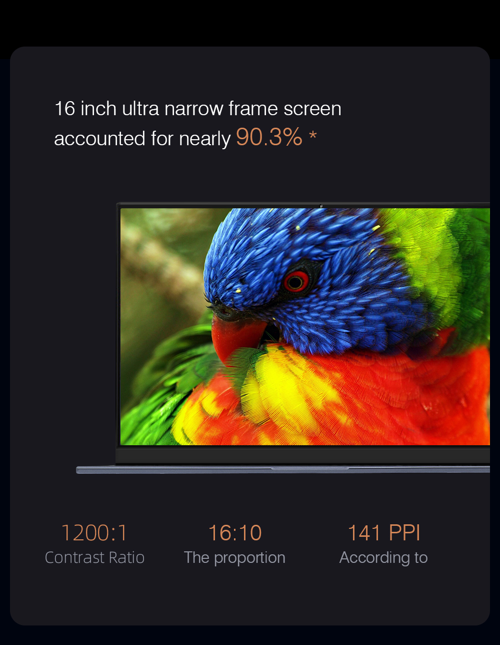image for this item
