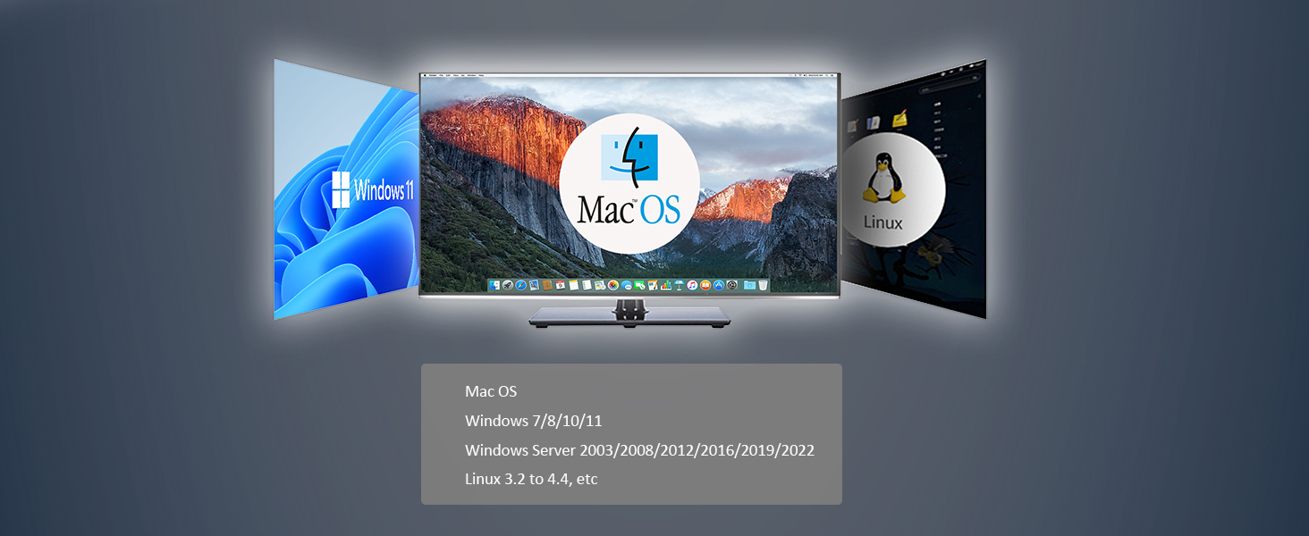 10Gb NIC