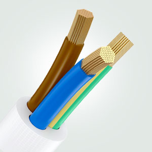 image for this item