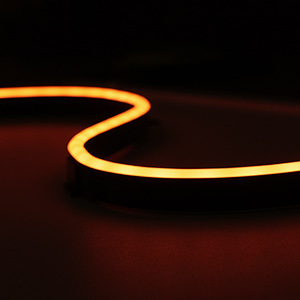image for this item