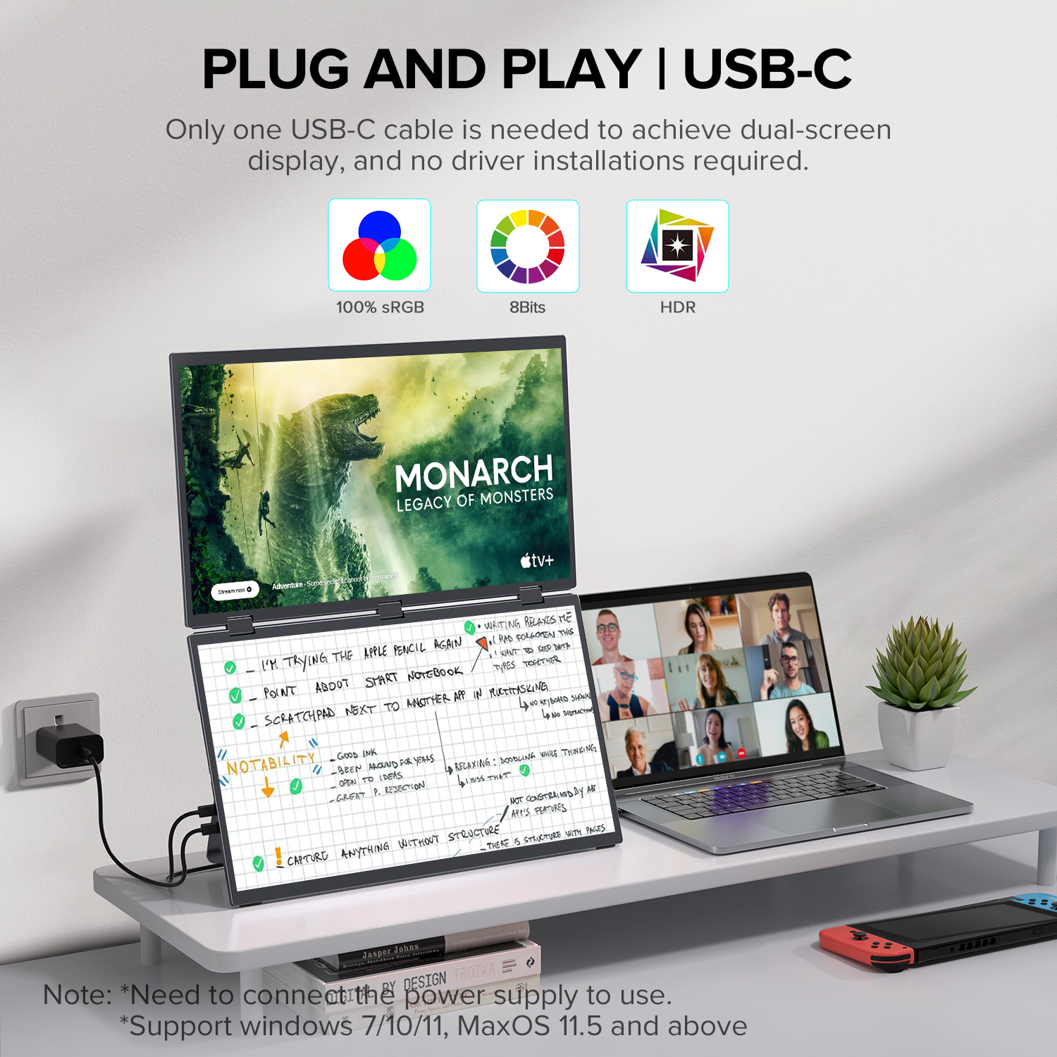 Dual Portable Monitor