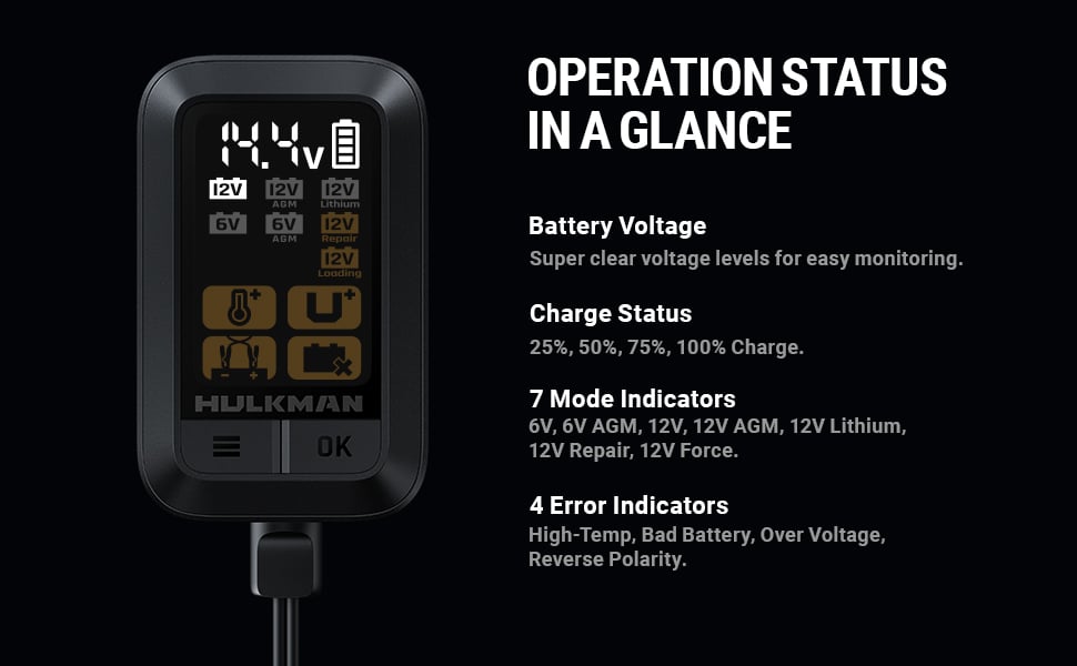 HULKMAN Sigma 1, 1000mA 6V/12V Smart and Automatic Car Battery