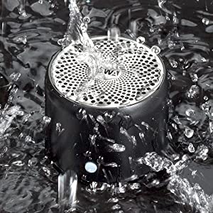 image for this item