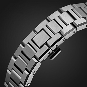 Quick Release Watch Band